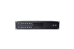 Jessup Amps Model T Class D Amplifier