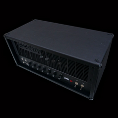 Jessup Amps BT-01 100w (hi-watt clone)